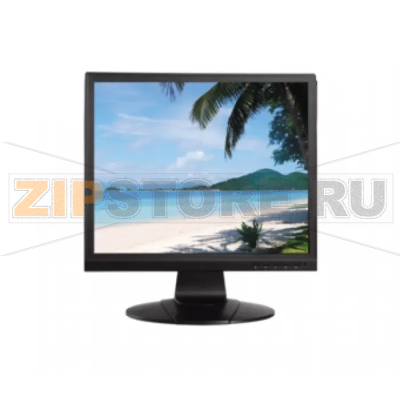 Монитор Dahua LM17-L100 