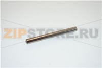 SPINA PORTALAMA            C15