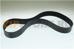 CINGHIA POLY V 