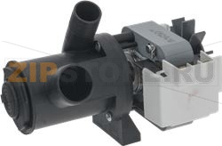 DRAIN PUMP INDESIT 