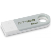 Накопитель USB 8 Гб Kingston DT109S-8GB