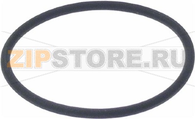 O Ring Inner  67x4 