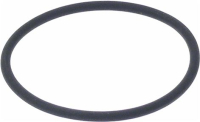 O Ring Inner  67x4