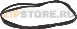BELT HUTCHINSON 1904 H7 EL 