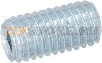 HEXAGON HEAD SCREW WITHOUT HEAD M5x10
