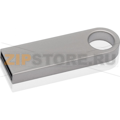 Накопитель USB 4 Гб Kingston DT109W-4GB 