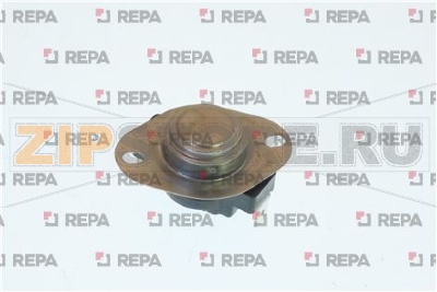 Thermostat 100 C 