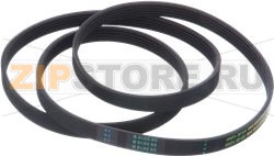 BELT 1255 5PJE BOSCH 00439490 