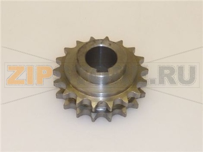 PIGNONE Z18 1/2 SUPERIORE 