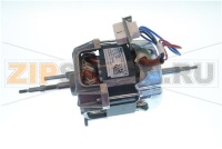ELECTROMOTOR 50HZ