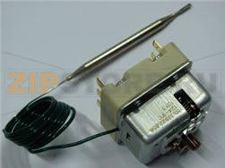 THERMOSTAT [C] 