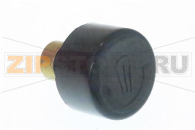 STEAM KNOB ASSEMBLY 