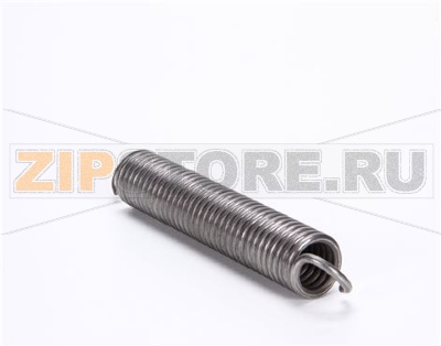 DOOR SPRING 