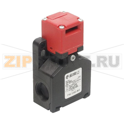 Выключатель безопасности 250 В/AC, 6 А, IP67, 1 шт Pizzato Elettrica FW 3492-M2 