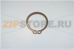 INOX RING SHAFT D.25 UNI7435 