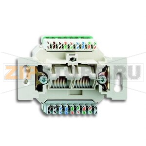 Механизм двухпостовой компьютерной/телефонной розетки UAE ABB 2CKA000230A0470 