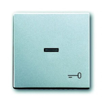 Клавиша выключателя/переключателя/кнопки с символом "Ключ" ABB 2CKA001751A2953