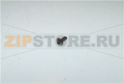 Vite TBEI M3x6 - UNI 7380 - Inox 