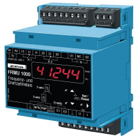 Реле автоматическое Ziehl FR 1000