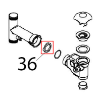 Siphon gasket Angelo Po FX61E2
