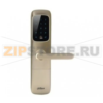 Замок Dahua DHI-ASL6101S 