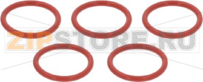 O Ring Boiler Convotherm 4 (5 Pack) 