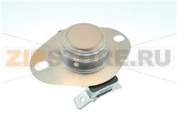 Thermostat Assembly 