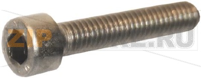 VITE A TESTA CILINDRICA 