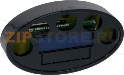 DISPLAY ELEN/ROSETTA 