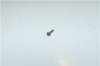 SCREW ø 2.2x6.5 mm