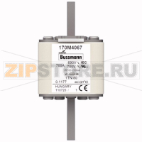 Предохранитель, 700 A, AC 690 В, 200 кА, DIN 1, 53x66x108 мм, aR, DIN, IEC Eaton FUSE 700A 690V