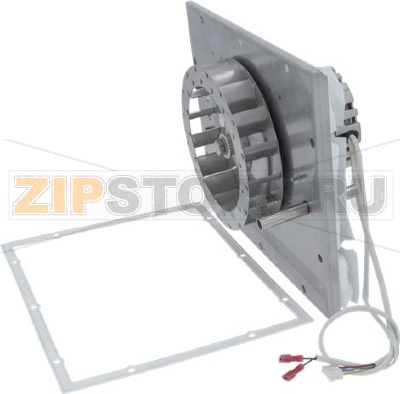 e1s CONVECTION MOTOR ASSEMBLY 