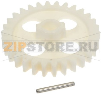 PINION LARGE DRILLED WITH SPRING PIN 