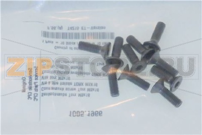 ВИНТ TORX M5x16ММ 10ШТ. RATIONAL 1005.1966 