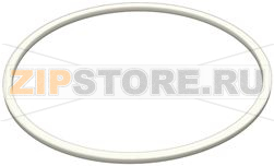 GUARNIZIONE PIANA PTFE ø 164x152x4 mm 