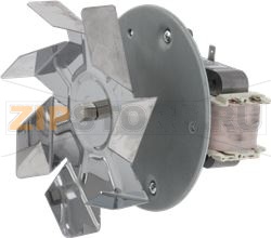 OVEN FANFIME-ITALY PACK 20 