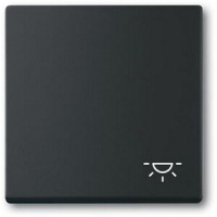 Клавиша выключателя c символом "Свет", чёрный бархат ABB 2CKA001751A3193