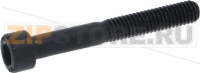 Screw M 6 X 45