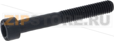 Screw M 6 X 45 