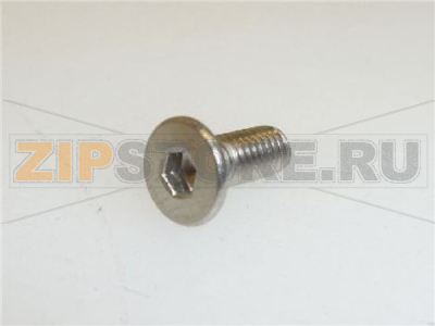 VITE A TESTA SVATA PIANA M3x8 