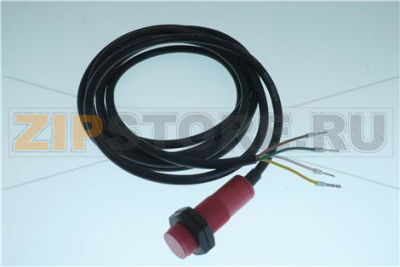 SENSORE TONDO L=2300     SO 3100 IX 