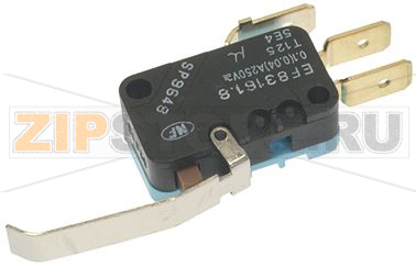 МИКРОВЫКЛЮЧАТЕЛЬ 0,1 A 250 В 