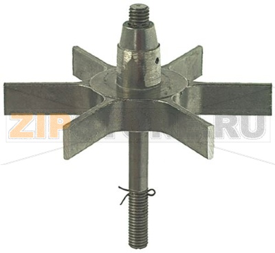 ДОННАЯ ЗВЕЗДОЧКА 