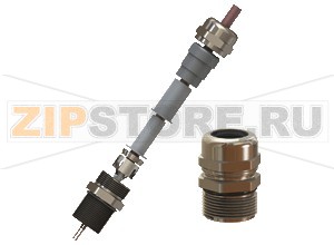 Кабельная муфта Cable Glands, Metal, for shielded EMC Cables CG.EM.M20.BN.C.18.K01 Pepperl+Fuchs Mechanical specificationsCable typenon-armored shielded EMC cablesClamping range (D)4 ... 12 mmSeal combination S19 ... 12 mmSeal combination S1+S26 ... 9 mmSeal combination S1+S2+S34 ... 6 mmThread typemetric ISO pitch 1.5 mmThread size (TD)M20Degree of protectionIP66 / IP68MaterialCable glandbrass, nickel-platedWasher gasketaramid fibers bonded with NBRO-RingchloropreneSeal insertchloropreneMass56 gDimensionsWidth across corners (D2)24.5 mmDiameter thru-hole (DT)20 ... 20.2 mmLength outside enclosure (H)26.5 mmWidth across flats (SW1)22 mmWidth across flats (SW2)22 mmThread length (TL)18 mmTotal length (L)44.5 mmTightening torqueNut torque at enclosure (SW1)5.5 NmNut torque 2 with seal S1 (SW2)16 NmNut torque 2 with seals S1+S2 (SW2)18 NmNut torque 2 with seals S1+S2+S3 (SW2)20 NmAmbient conditionsAmbient temperature-40 ... 80 °C (-40 ... 176 °F) washer gasket -40 ... 80 °C (-40 ... 176 °F)Data for application in connection with hazardous areasEU-Type Examination CertificateIMQ 14 ATEX 012XMarking II 2 GD Ex d IIC Gb Ex e IIC Gb Ex tb IIIC DbInternational approvalsIECEx approvalIECEx IMQ 14.0004XEAC approvalTC RU C-TR.GB05.B.00918ConformityDegree of protectionEN 60529General informationDelivery quantity1Scope of deliveryCable gland washer gasket locknut shroud PVC earth tag brief instructionsSupplementary informationEC-Type Examination Certificate, Statement of Conformity, Declaration of Conformity, Attestation of Conformity and instructions have to be observed where applicable. For information see www.pepperl-fuchs.com.AccessoriesSealing plugsBP.NA.M16-M20S.PA