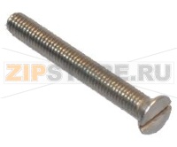 VITE A TESTA SVASATA PIANA