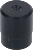 Flow Limiter 0,15 Isteam