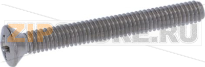 SCREW 