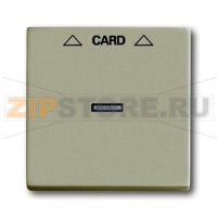 Накладка для карточного выключателя ABB 2CKA001710A3929