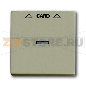 Накладка для карточного выключателя ABB 2CKA001710A3929 