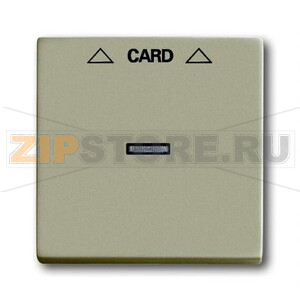 Накладка для карточного выключателя ABB 2CKA001710A3929 